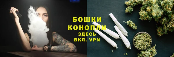 молекула духа Бронницы