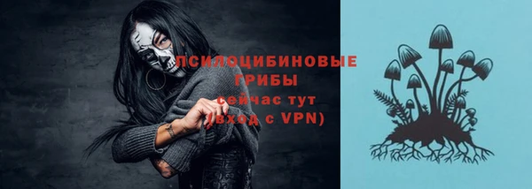 молекула духа Бронницы