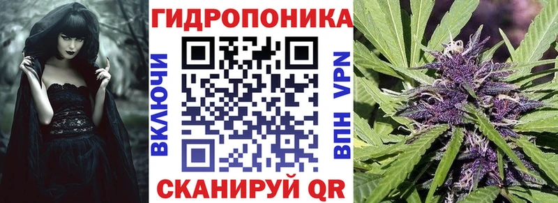 гидра сайт Тбилисская Каннабис планчик